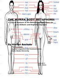 Science has finally ranked the places she gets the canadian scientists tested the sensitivities of several sexual areas on the female body, including the they then used scientific instruments to apply the various forms of touch to the women's clitoris, labia. Human Body Diagram In Marathi Human Body Anatomy