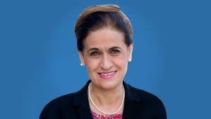 Rollins entrepreneurs