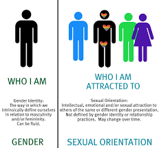 Pin On Group 4 Gender Identity