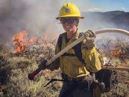 Within The Federal Government The U S Forest Service Bureau Of Land Management National Park Service Bureau Wildland Firefighter Wildland Fire Firefighter
