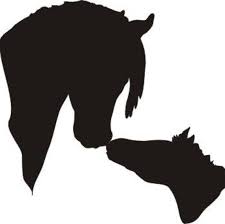 However, be aware that even though you'll be uploading a square photo, it facebook also stores a higher resolution version at 320px by 320px. Ac Equine Clearance Stock Home Facebook