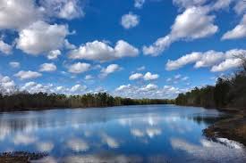The terrain is wooded nearby are old erie canal state historic park, verona beach state park, steuben memorial state historic site, and oriskany battlefield state historic site. Coronavirus In New Jersey Campsites Open At Some State Parks Forests June 22 Phillyvoice