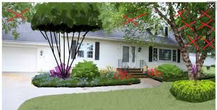 While birds love the fruit of mulberry trees—a phenomenon that will also cause unwanted messes in your yard—we must admit that we do not. Small Tree For Front Yard Bed