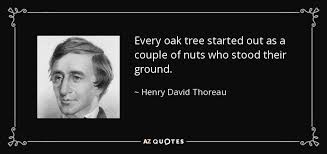 The nature of oaks reveals what is going on in oak trees month by month, highlighting the seasonal cycles of life, death, and renewal. Top 25 Oak Tree Quotes Of 77 A Z Quotes