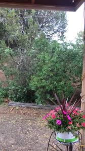 From well inspections and well pump replacements to water analysis, we provide a wide range of well services. Windmill Water And Ice Health Hydration Home Facebook