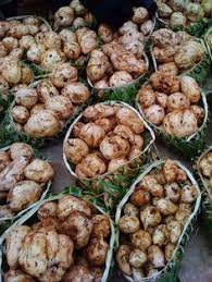 We did not find results for: 9 Tonga Ideas Tonga Tongan Culture Tongan