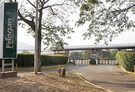 Planta ierboasa care creste in toate regiunile tarii noastre. Sin Planta De Friogan En Cucuta Se Elevaria Sacrificio Ilegal En La Region Contexto Ganadero Noticias Principales Sobre Ganaderia Y Agricultura En Colombia
