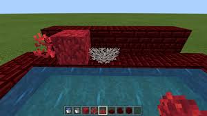 Trying to make the top 5 for block hunt on be but i can confirm at least 3/5 have just sat idle for the few hours i played and got tons of free wins. Mcpe 77805 Coral Fans Cannot Be Placed On Waterlogged Stairs Or Slabs And Remain Alive Jira