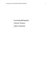 Literature Review.docx