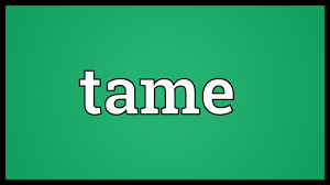 Tame Meaning Youtube