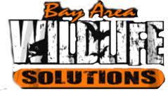Some even use scare tactics to convince you injury and disease are imminent if you don't act fast. Bay Area Wildlife Solutions Delaware And Maryland Animal Removal