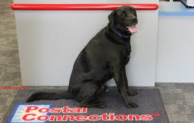 Postal Services In Hockessin Delaware Mail Box Rental