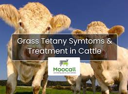 Image result for Tetany