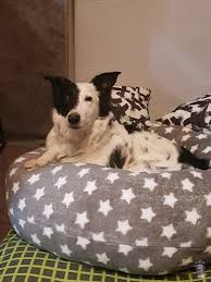 So Nahst Du Einen Kuscheldonut Fur Dein Haustier Haustier Tierkissen Hunde Kissen