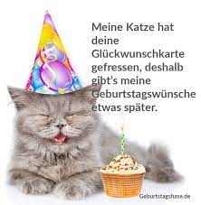 meine katze hat deine gluckwunschkarte gefressen deshalb gibt s meine geburtstagswunsche etwa geburtstagswunsche katze geburtstagswunsche geburtstag vergessen