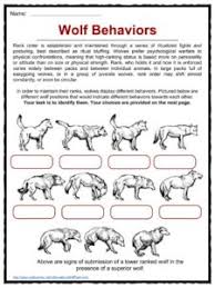 Wolf Facts Worksheets Habitat Information For Kids