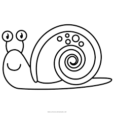 You are right, but that isn't a reason why a cone snail should be in the same tier as an orca, crocodile, colossal squid, etc. Snail Coloring Page Ultra Coloring Pages