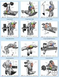 Pin On Exercicios De Musculacao