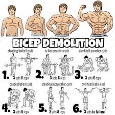 Epingle Par Karen Thomas Sur Judo En 2020 Entrainement Biceps Musculation Pectoraux Exercice Biceps