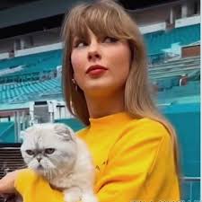 I'll be Doña Taylor for MR Travieso any day 😈🎃😂 #halloween  #taylorswiftandtraviskelce #comedia #funny #couplescostume #taylorswift  #taylornation