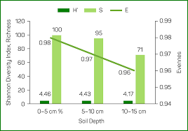 Image result for Gutenbergia rueppellii