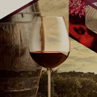 Cantina Valpolicella Negrar - le News di professione Architetto