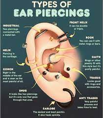Piercingseartypes Ear Piercings Different Ear Piercings Piercing