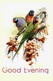 3d Animated Gif Glitter Graphics Birds Animation Glitters Picture Comment Painting Bird Art Bird Illustration