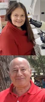 Radio el Microscopio Segunda Década