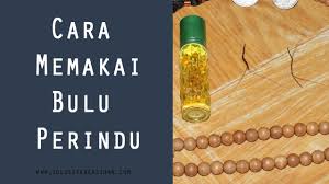 Minyak pengasihan bulu perindu berfungsi untuk menarik pembeli kepada anda. Cara Menggunakan Bulu Perindu Untuk Pikat Gadis Cantik Dan Janda Kaya