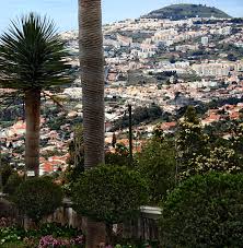 Hotéis, restaurantes, actividades, pontos turísticos e muito mais. Monte Funchal Wikipedia