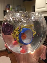 3d Cell Model For 10 Membrane Fishbowl 1 50 Cytoplasm Water Gems 2 Nucleus Ping Pong Ball Animal Cell Project Cells Project Cell Model Project