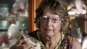 Collectors shell out