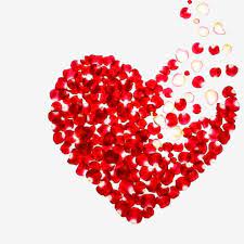 Valentines Day Lover Rose Petal Heart Shape Composed Of Rose Petals Heart Outline Valentine Love Romantic Beauty Png And Vector With Transparent Background F Heart Shaped Valentines Valentine Clipart Valentine Heart