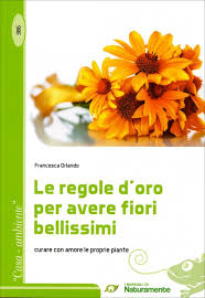 ✓ gratuiti a scopo commerciale ✓ immagini di alta qualità. Le Regole D Oro Per Avere Fiori Bellissimi