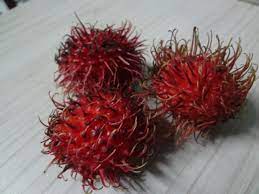 Fruits do have an necessary role for the health of our bodies. Unique Fruit The Red Spiky Fruit