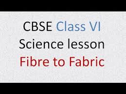 Cbse Science Lesson Class Vi Fibre To Fabric