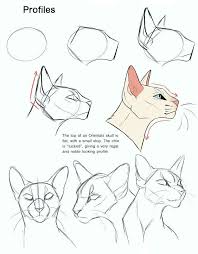 Notitle Painting Drawing Drawing Notitle Painting Katzen Love Cat Drawing Tutorial Animal Drawings Warrior Cat Drawings