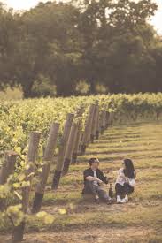 Grand walking tours run from april to the end of september. 12 Best Vineyards To Visit And Tour In England And Wales In 2019