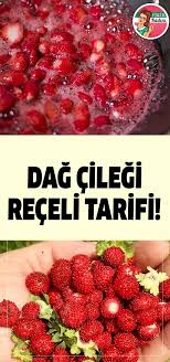 dag cilegi receli tarifi food food and drink diet and nutrition