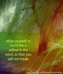 Quotes From Willow. QuotesGram via Relatably.com
