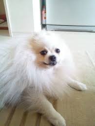 Profil De Gilles Clermont Gillesclermont1 Pinterest