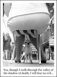 I Like It Funny Captions Bones Funny Haha Funny