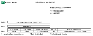 Paiement Par Rib Une Solution Simple Rapide Et Sure