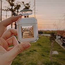 Perfume Bottle Silicone Case For Airpods Earphone Protective Case Luxury Shockproof And Drop Clear Soft Tpu Case For Apple Custom Bling Perfume Airpod Case