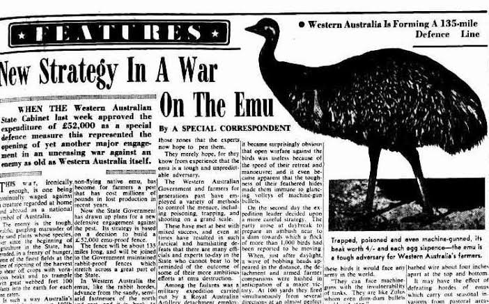 The Great Emu War Of 1932 Is As Weird As It Sounds | IFLScience