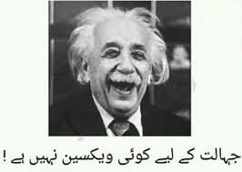 Pin On Urdu