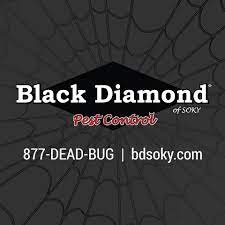 Let our 75+ years of experience work for you. Top 2 Best Pest Exterminators In Owensboro Ky Angi