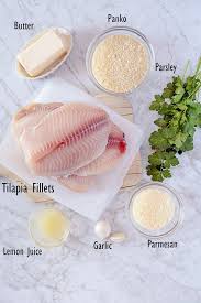 Baked Tilapia With Parmesan And Panko Crust Recipe Baked Tilapia Baked Tilapia Recipes Tilapia