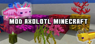 The more axolotl variants mod for minecraft 1.17.1 adds in 8 new axolotls into minecraft! Mod Axolotl Minecraft For Android Apk Download